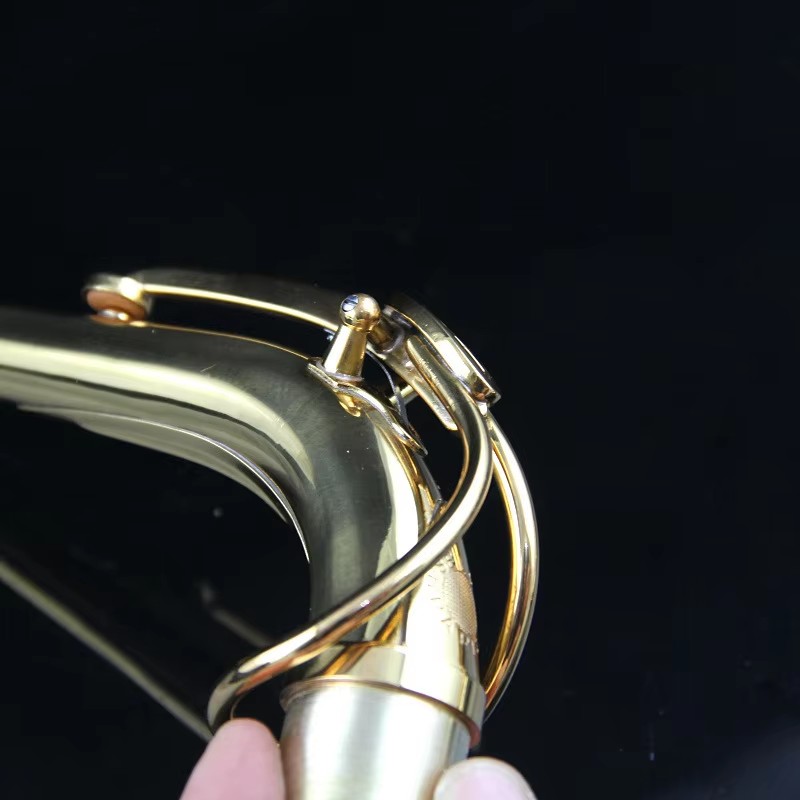 Saxe Tubo de cuello curvo Laca - Musical Instrument Youtube reseña y precio