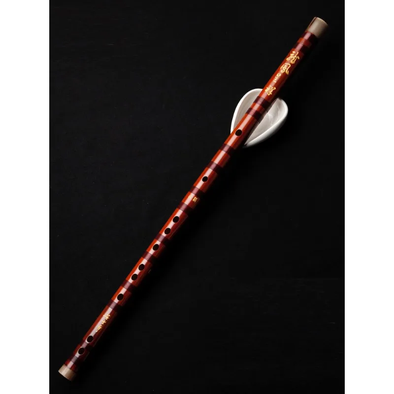 Flauta profesional, flauta de  - Musical Instrument Ending In A reseña y precio