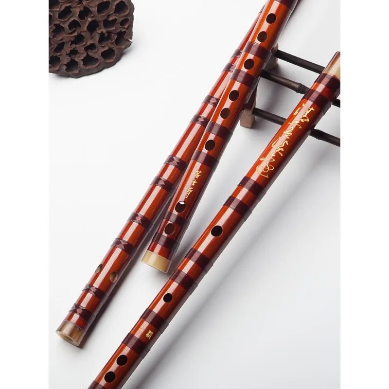 Flauta profesional, flauta de  - Musical Instrument Ending In A reseña y precio