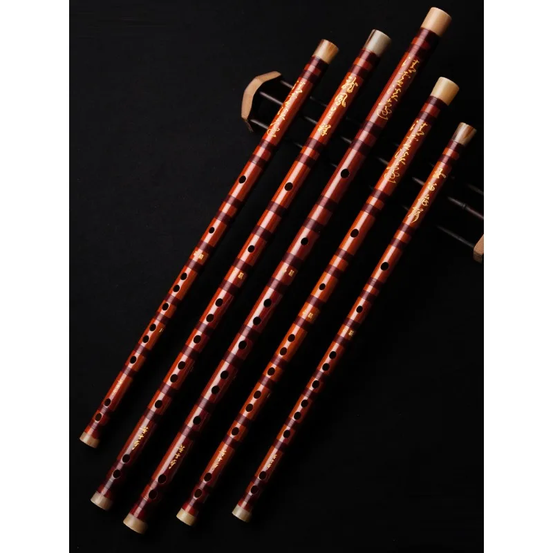 Flauta profesional, flauta de  - Musical Instrument Ending In A reseña y precio